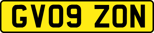 GV09ZON