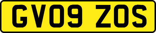 GV09ZOS