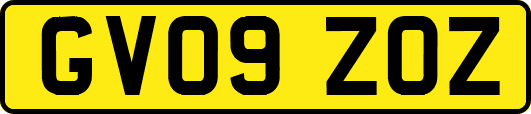 GV09ZOZ