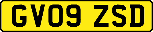 GV09ZSD