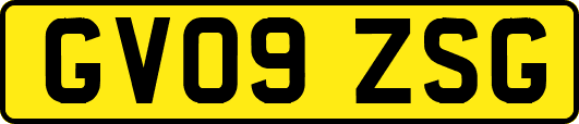 GV09ZSG