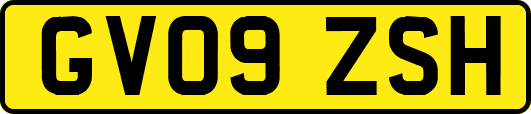 GV09ZSH