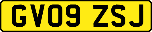 GV09ZSJ