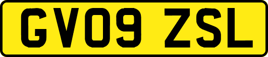 GV09ZSL