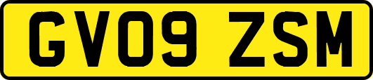 GV09ZSM
