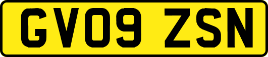 GV09ZSN