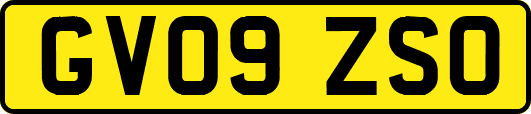 GV09ZSO