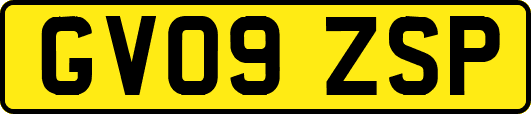 GV09ZSP