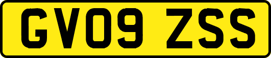 GV09ZSS