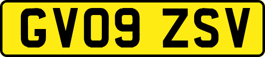 GV09ZSV