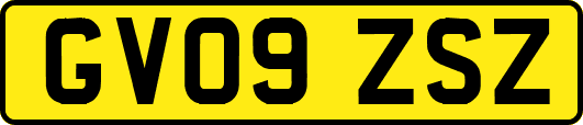 GV09ZSZ