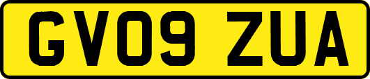 GV09ZUA