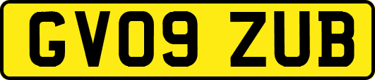 GV09ZUB