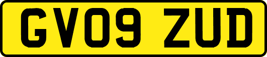 GV09ZUD