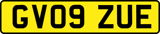 GV09ZUE