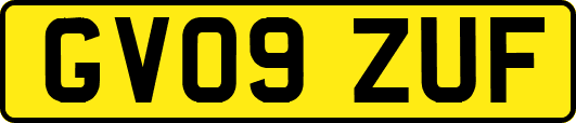 GV09ZUF