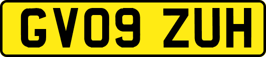 GV09ZUH