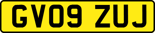 GV09ZUJ