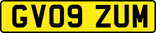 GV09ZUM