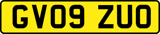 GV09ZUO