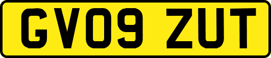 GV09ZUT