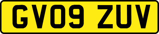 GV09ZUV