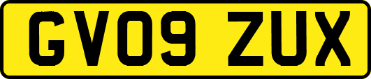 GV09ZUX