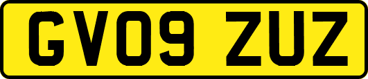 GV09ZUZ