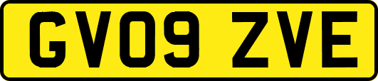 GV09ZVE