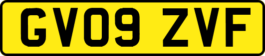 GV09ZVF