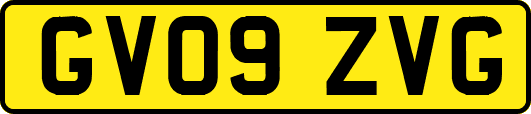 GV09ZVG