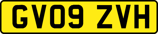 GV09ZVH