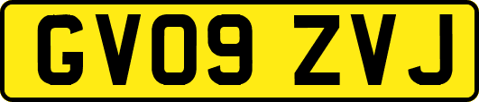 GV09ZVJ