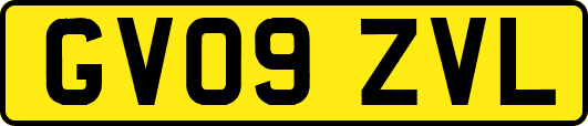 GV09ZVL