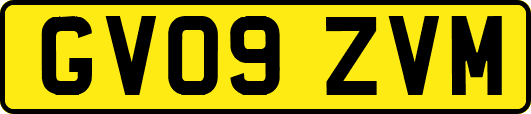 GV09ZVM