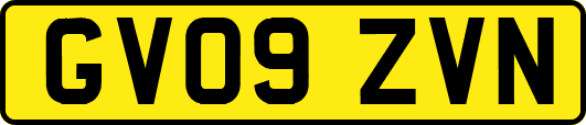 GV09ZVN