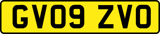 GV09ZVO
