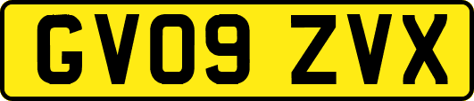 GV09ZVX