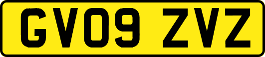 GV09ZVZ