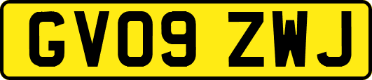 GV09ZWJ