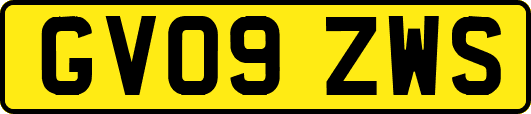 GV09ZWS