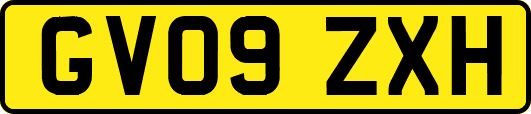 GV09ZXH