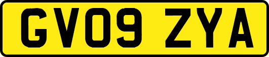 GV09ZYA