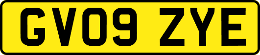 GV09ZYE