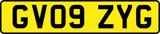 GV09ZYG