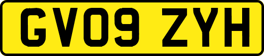 GV09ZYH