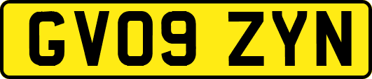 GV09ZYN