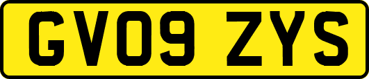 GV09ZYS