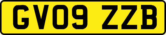 GV09ZZB