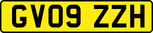GV09ZZH